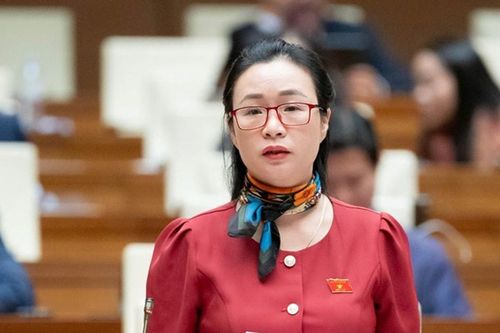 ĐBQH Lâm Đồng đề xuất chính sách đãi ngộ, cải cách tiền lương cho nhân lực vùng khó