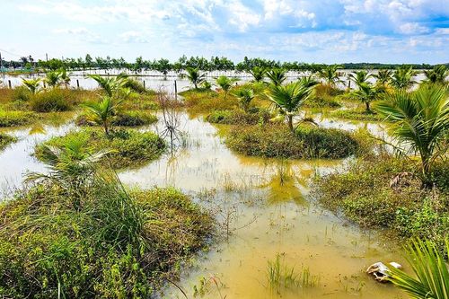 Nam Thành ước thiệt hại hơn 5,1 tỷ đồng do lũ quét