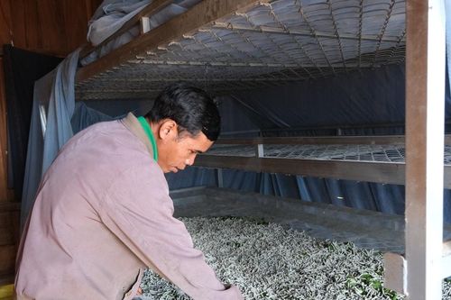 Đam Rông 4 vun bồi sinh kế cho đồng bào dân tộc thiểu số