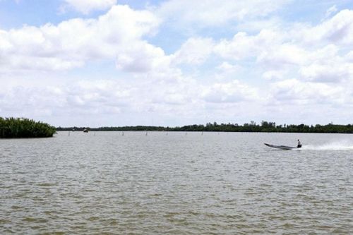 Đầm Thị Tường Cà Mau: Khám phá vẻ đẹp 'biển hồ' miền Tây