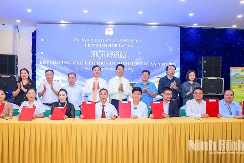 Hội nghị kết nối cung-cầu và Chợ phiên trưng bày giới thiệu sản phẩm HTX năm 2025