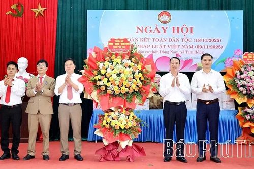 Ngày hội Đại đoàn kết toàn dân tộc thôn Đông Nam, xã Tam Hồng