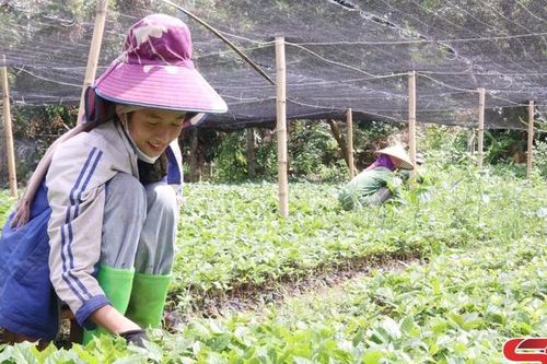 Nhiều hoạt động hỗ trợ hội viên phụ nữ