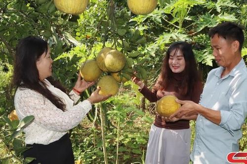 Gia Phù giảm nghèo bền vững
