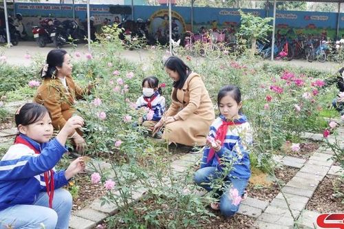 Púng Bánh bảo vệ môi trường xanh, sạch, đẹp