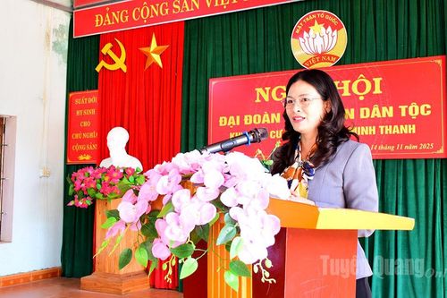Phó Chủ tịch UBND tỉnh Vương Ngọc Hà: Nhân dân thôn Cả thi đua phát triển kinh tế, thắt chặt tình làng nghĩa xóm