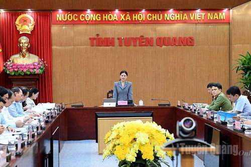 Nâng cao chất lượng đào tạo nghề, đẩy mạnh giải quyết việc làm trên địa bàn tỉnh