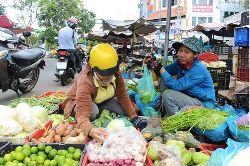 Giá rau xanh tại Hà Nội, Tp.HCM tăng chóng mặt