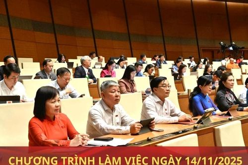 Kỳ họp thứ Mười, Quốc hội Khóa XV: Chương trình làm việc ngày 14/11