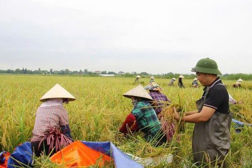 Thi đua xây dựng nền nông nghiệp sinh thái, bền vững