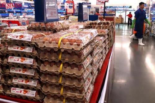 Doanh nghiệp chăn nuôi nội có vượt qua được 'vòng vây' khó khăn?