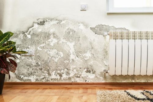 Sàn trơn, tường ướt, mốc lan nhanh: Thủ phạm thật sự là gì?