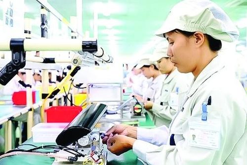 Hợp lực để tham gia chuỗi cung ứng toàn cầu