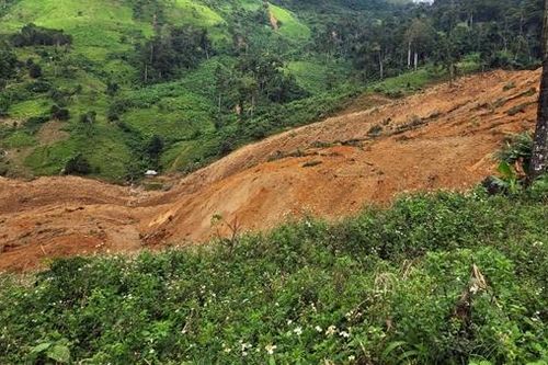 Đà Nẵng: Sạt lở núi kinh hoàng giữa ngày nắng, nghi 3 người bị vùi lấp