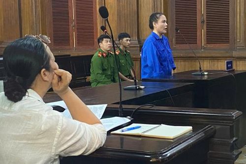 Tự xưng cán bộ Thanh tra Chính phủ để lừa đảo chiếm đoạt 14 tỷ đồng