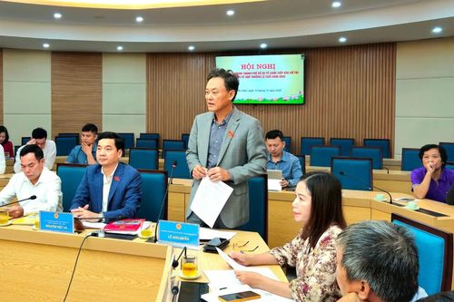 Cử tri tổ đại biểu 20 đề nghị siết quản lý đất đai