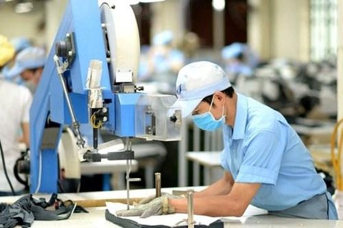 'Cơn mưa' cổ tức dệt may 2025: May Sông Hồng (MSH) chi 450 tỷ, TNG và Phong Phú ấn định ngày chốt quyền