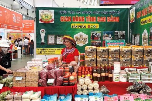 Phát triển sản phẩm OCOP gắn với xây dựng thương hiệu địa phương