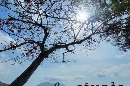 Côn Đảo đang tiến gần đến ngưỡng sức tải môi trường, cần phát triển du lịch bền vững
