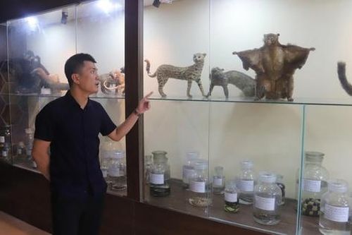 Bên trong bảo tàng lưu giữ nguồn gen quý hiếm của Khu bảo tồn thiên nhiên Pù Huống