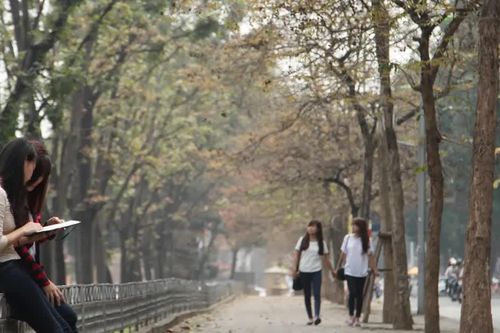 Câu chuyện vỉa hè