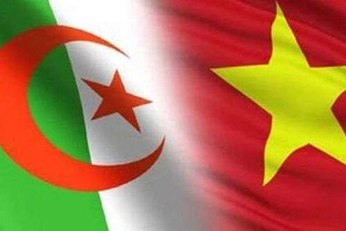 Mở ra kỷ nguyên hợp tác sâu rộng và năng động giữa Việt Nam và Algeria