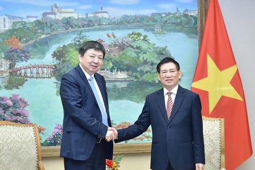 Phó Thủ tướng Hồ Đức Phớc tiếp Chủ tịch Tập đoàn Hoa Thiết (Trung Quốc)