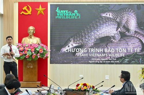 Vòng chung kết Giải thưởng Hành động vì Cộng đồng - Human Act Prize 2025
