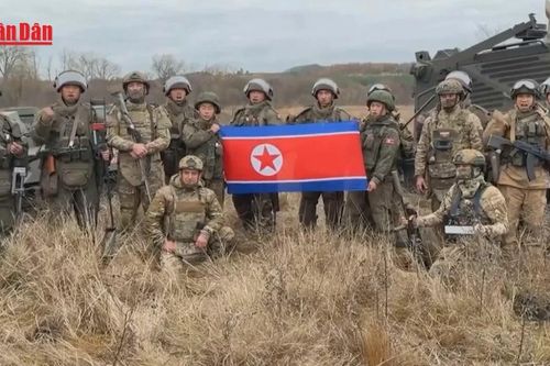 Nga đề cao vai trò của binh sĩ Triều Tiên trong hoạt động rà phá bom mìn tại Kursk