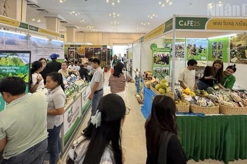 Xuất khẩu nông sản Campuchia 10 tháng đầu năm 2025 tăng 30%