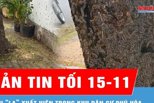 Bản tin tối 15-11: Sâu 'lạ' xuất hiện trong khu dân cư Phú Hòa