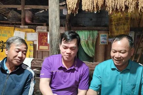 Hỗ trợ người dân nâng cao đời sống từ cây hạt dẻ