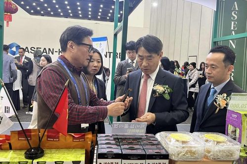 Việt Nam đang khẳng định vai trò dẫn dắt trong quan hệ thương mại và đầu tư ASEAN-Hàn Quốc