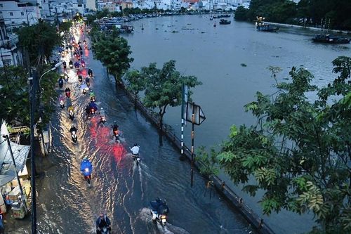 Sở Nông nghiệp và Môi trường TP Hồ Chí Minh thông tin về tình hình triều cường và sụt lún đất tại Thành phố