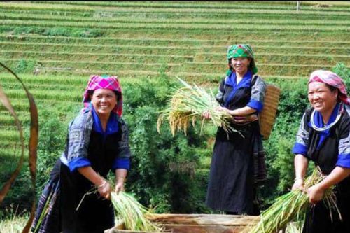 Công tác giảm nghèo trước thách thức biến đổi khí hậu