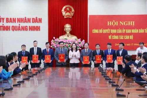 Quảng Ninh kiện toàn nhân sự nhiều cơ quan, đơn vị trọng điểm