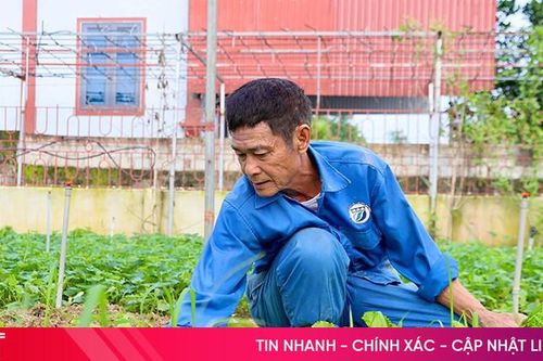 Vùng 'rốn lũ' vươn lên với nhiều cách làm kinh tế hiệu quả