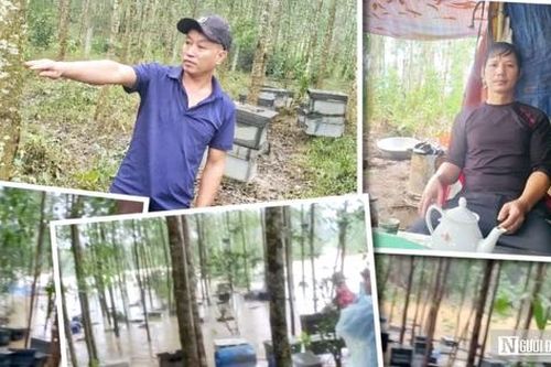 Đời 'thiên di' giữa mùa thiên tai