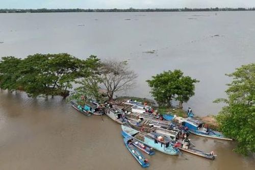 Lênh đênh cùng 'lộc trời' mùa nước nổi
