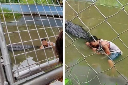 Tưởng cá sấu là tượng, nam thanh niên leo rào vào selfie rồi nhận ngay bài học nhớ đời