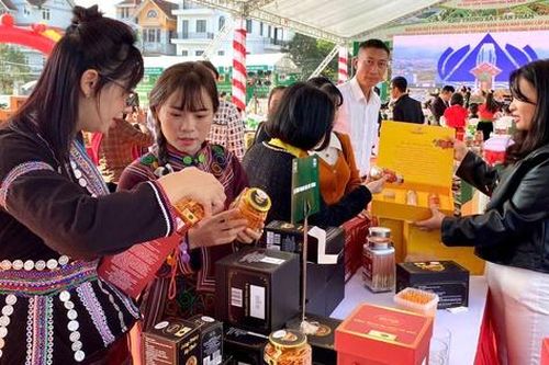 Hỗ trợ các địa phương mở rộng thị trường tiêu thụ bền vững cho sản phẩm miền núi, vùng sâu, vùng xa