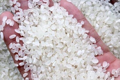 Định vị thương hiệu gạo Việt bằng chiến lược sản xuất xanh