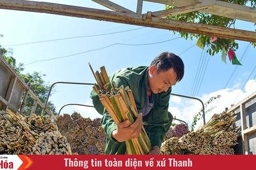 Giữ nghề giữa lưng chừng núi