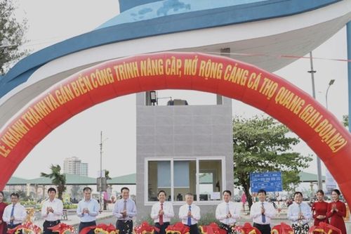 Đà Nẵng nâng tầm cảng cá Thọ Quang thành Trung tâm nghề cá lớn nhất khu vực miền Trung