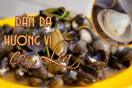 Dân dã hương vị con Lía
