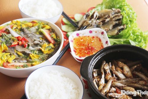 Cá linh - 'lộc trời' mùa nước nổi