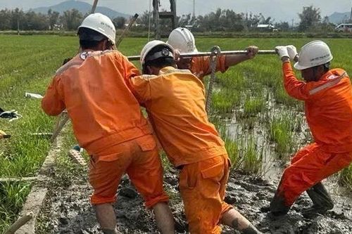 Những người thợ đưa ánh sáng trở lại sau bão số 13
