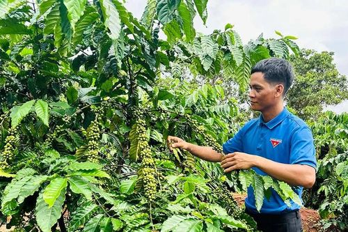Quan tâm, chăm lo thanh niên dân tộc thiểu số