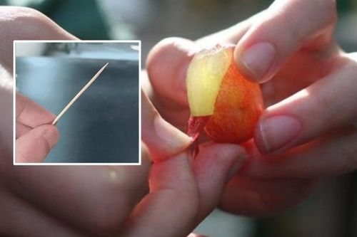 Mẹo bóc vỏ nho đơn giản bằng chiếc tăm