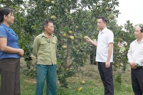 Những đảng viên tiên phong phát triển kinh tế tư nhân ở Yên Thành